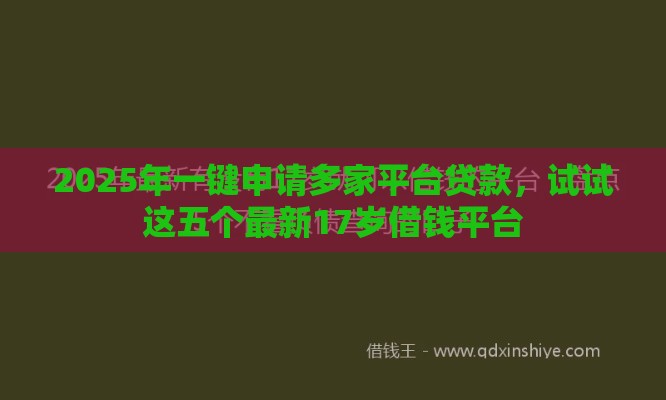 2025年一键申请多家平台贷款，试试这五个最新17岁借钱平台