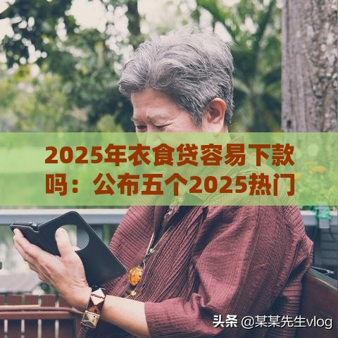2025年衣食贷容易下款吗：公布五个2025热门国外贷款平台