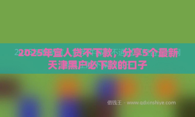 2025年宜人贷不下款，分享5个最新天津黑户必下款的口子