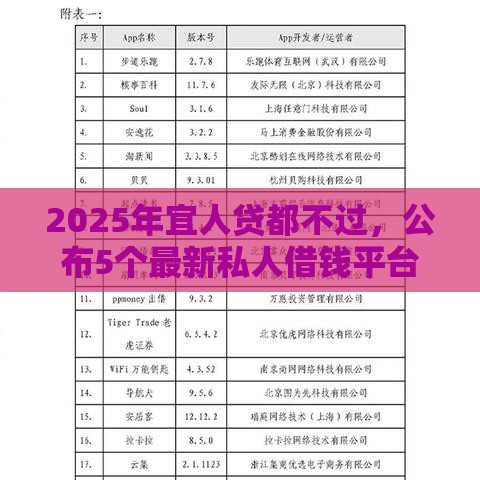 2025年宜人贷都不过，公布5个最新私人借钱平台