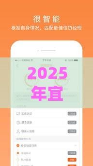 2025年宜人极速贷被拒，整合五个最新简单的贷款平台