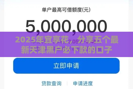 2025年宜享花，分享五个最新天津黑户必下款的口子