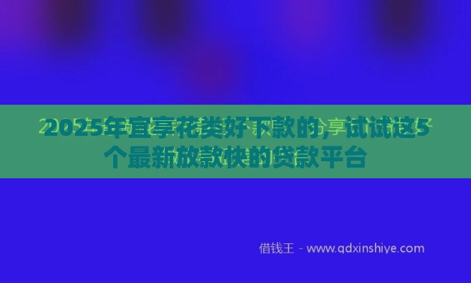 2025年宜享花类好下款的，试试这5个最新放款快的贷款平台