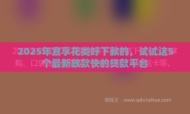 2025年宜享花类好下款的，试试这5个最新放款快的贷款平台
