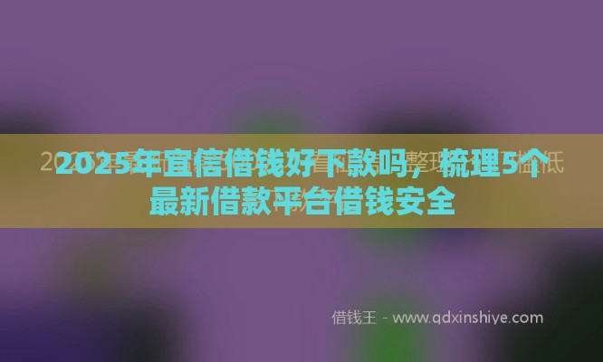 2025年宜信借钱好下款吗，梳理5个最新借款平台借钱安全