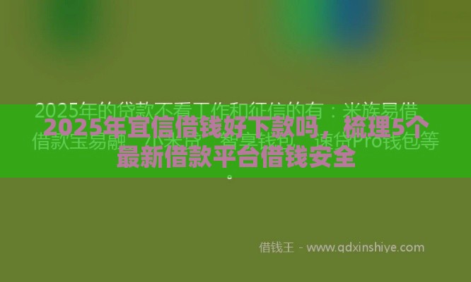 2025年宜信借钱好下款吗，梳理5个最新借款平台借钱安全