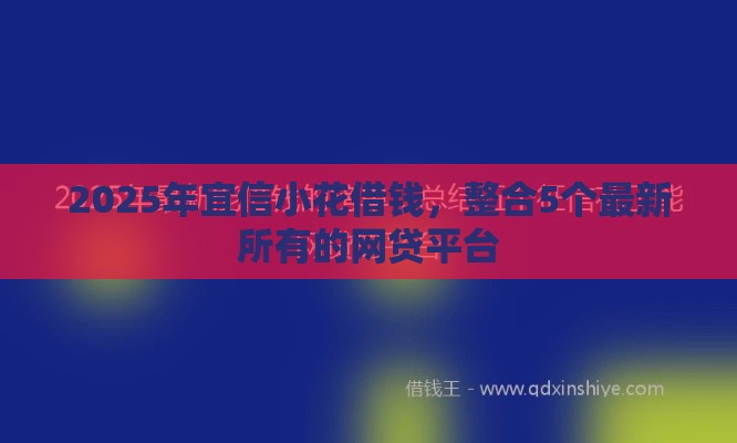2025年宜信小花借钱，整合5个最新所有的网贷平台