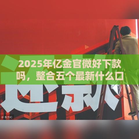 2025年亿金官微好下款吗，整合五个最新什么口子黑户可以下款