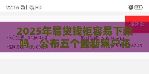 2025年易贷钱柜容易下款吗，公布五个最新黑户花户下款的口子2025