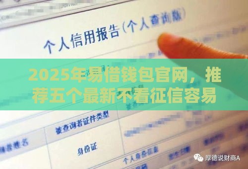 2025年易借钱包官网，推荐五个最新不看征信容易贷款的平台