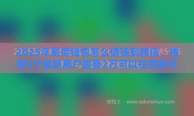 2025年易借钱包怎么借钱到微信，推荐5个最新黑户需要2万可以在借款平台借款