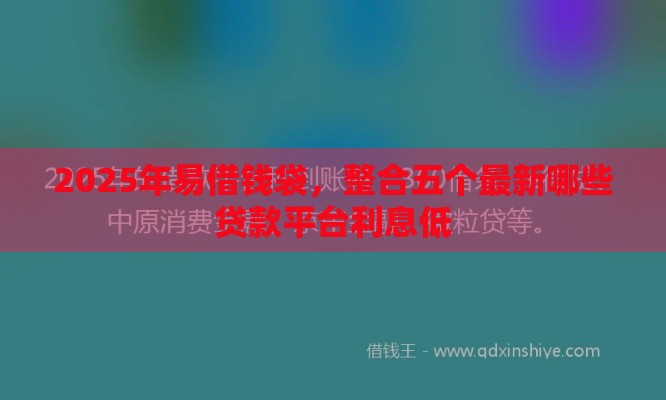 2025年易借钱袋，整合五个最新哪些贷款平台利息低