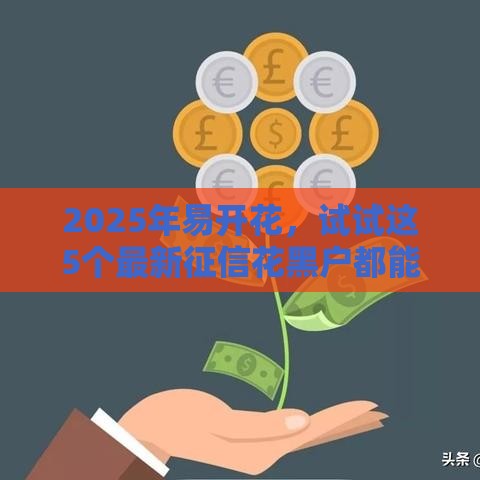 2025年易开花，试试这5个最新征信花黑户都能下款的平台