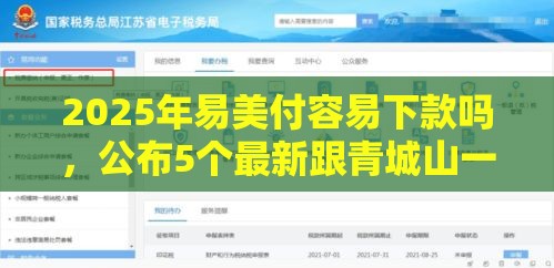 2025年易美付容易下款吗，公布5个最新跟青城山一样必下款的口子