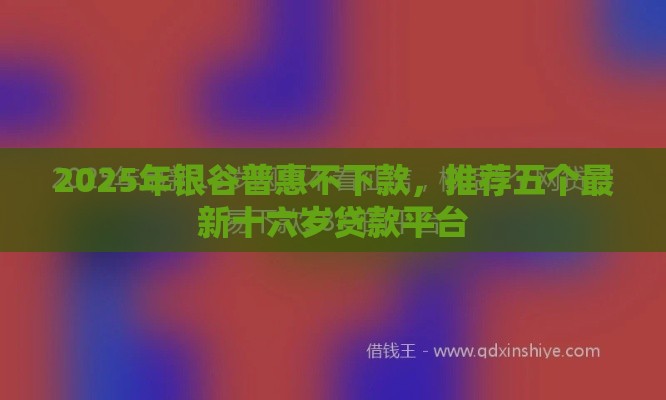 2025年银谷普惠不下款，推荐五个最新十六岁贷款平台