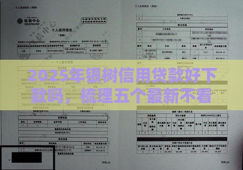 2025年银树信用贷款好下款吗，梳理五个最新不看征信不看综合评估的借款平台
