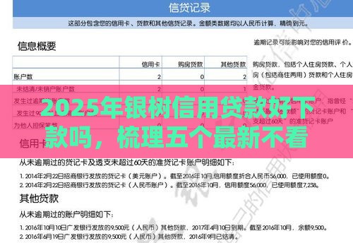 2025年银树信用贷款好下款吗，梳理五个最新不看征信不看综合评估的借款平台