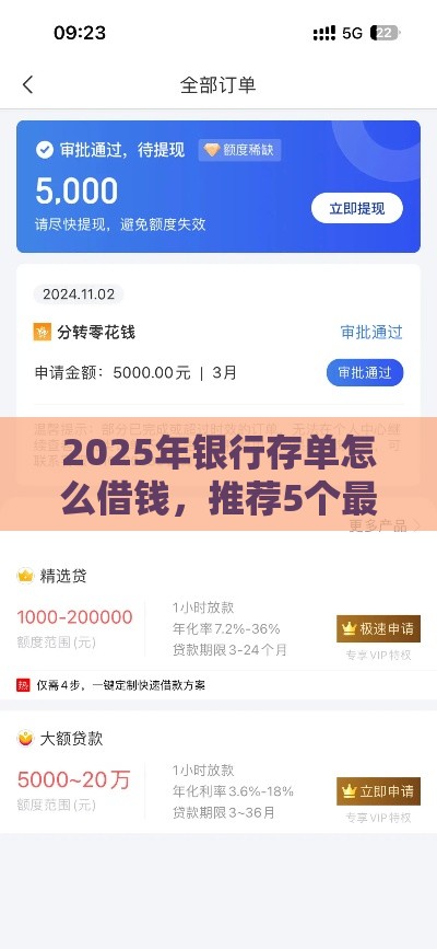 2025年银行存单怎么借钱，推荐5个最新黑户贷款平台