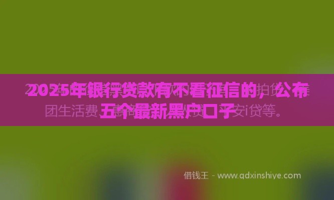 2025年银行贷款有不看征信的，公布五个最新黑户口子