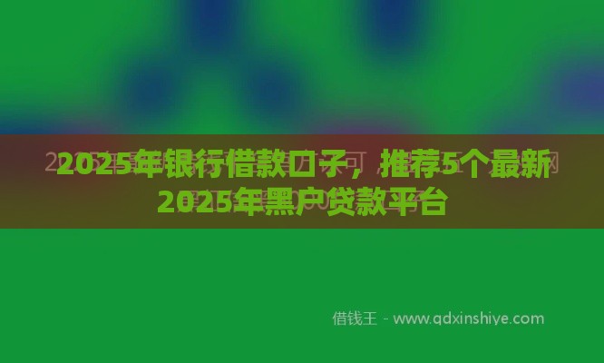 2025年银行借款口子，推荐5个最新2025年黑户贷款平台