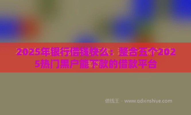 2025年银行借钱快么：整合五个2025热门黑户能下款的借款平台