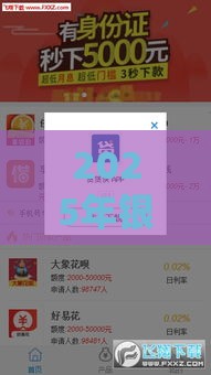 2025年银行审批被拒原因，公布5个最新小额贷款正规平台