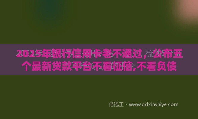 2025年银行信用卡老不通过，公布五个最新贷款平台不看征信,不看负债
