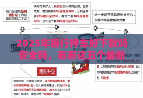2025年银行押车好下款吗安全吗，看看这五个最新人体器官贷款平台