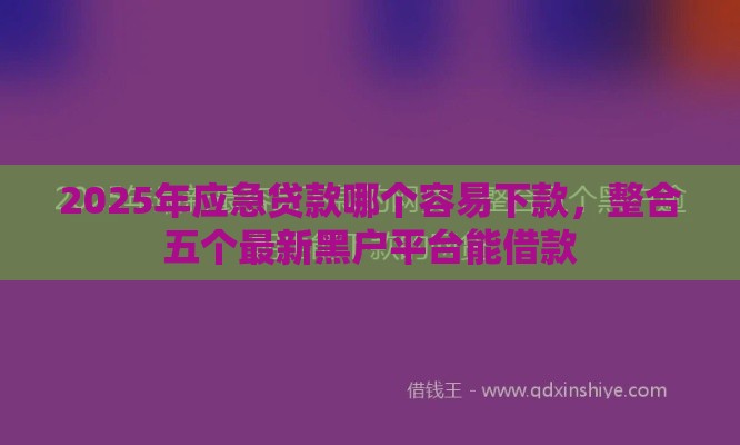 2025年应急贷款哪个容易下款，整合五个最新黑户平台能借款