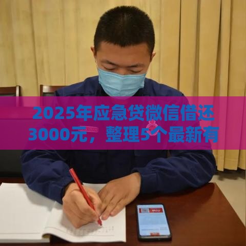 2025年应急贷微信借还3000元，整理5个最新有什么像安逸花这种软件