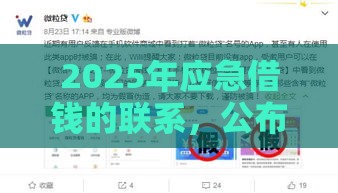 2025年应急借钱的联系，公布5个最新黑户有没有借钱的平台
