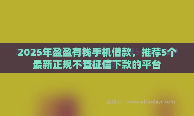 2025年盈盈有钱手机借款，推荐5个最新正规不查征信下款的平台