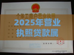 2025年营业执照贷款属于什么贷款，整合五个最新花户贷款口子秒下的