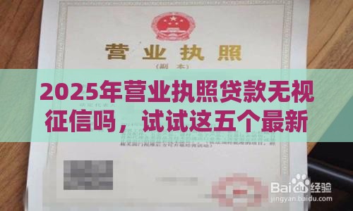2025年营业执照贷款无视征信吗，试试这五个最新找贷款平台