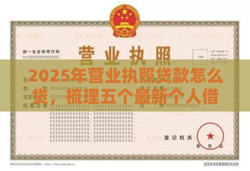 2025年营业执照贷款怎么贷，梳理五个最新个人借钱平台