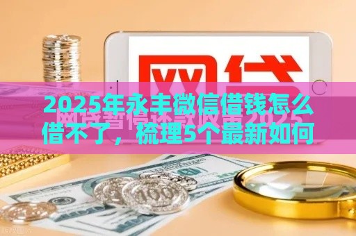 2025年永丰微信借钱怎么借不了，梳理5个最新如何举报网贷平台