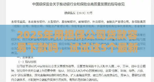 2025年用担保公司贷款容易下款吗，试试这5个最新企业信用贷款平台