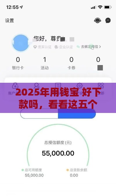 2025年用钱宝 好下款吗，看看这五个最新黑口子贷款秒过的口子