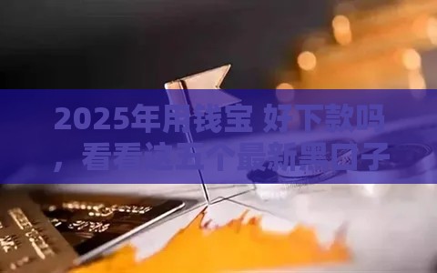 2025年用钱宝 好下款吗，看看这五个最新黑口子贷款秒过的口子