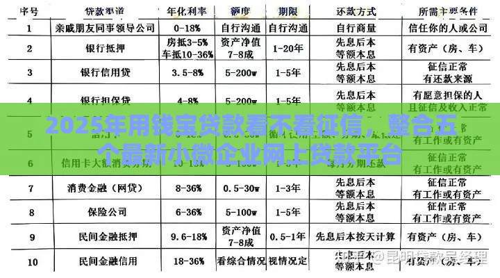 2025年用钱宝贷款看不看征信，整合五个最新小微企业网上贷款平台