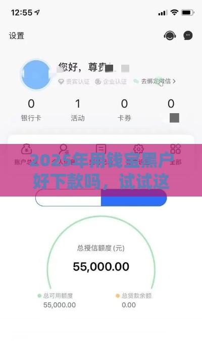 2025年用钱宝黑户好下款吗，试试这5个最新2025口子交流论坛最新