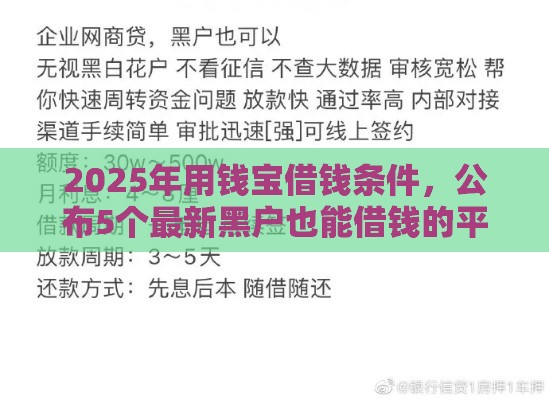 2025年用钱宝借钱条件，公布5个最新黑户也能借钱的平台