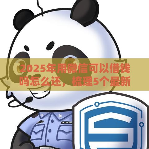 2025年用微信可以借钱吗怎么还，梳理5个最新十大网贷平台