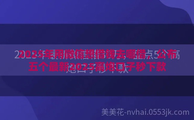 2025年用微信想借钱去哪借，公布五个最新2025高炮口子秒下款