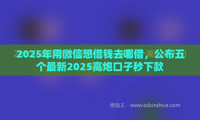 2025年用微信想借钱去哪借，公布五个最新2025高炮口子秒下款