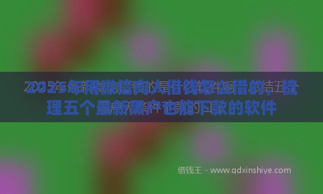 2025年用微信向人借钱怎么借的，梳理五个最新黑户也能下款的软件