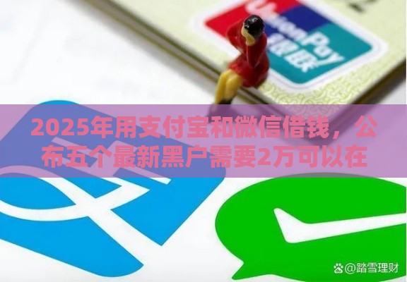 2025年用支付宝和微信借钱，公布五个最新黑户需要2万可以在借款平台借款