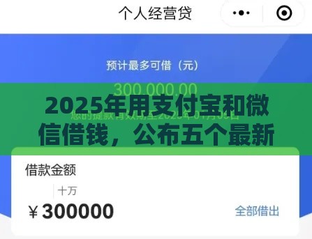 2025年用支付宝和微信借钱，公布五个最新黑户需要2万可以在借款平台借款