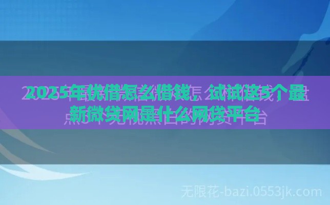 2025年优借怎么借钱，试试这5个最新微贷网是什么网贷平台