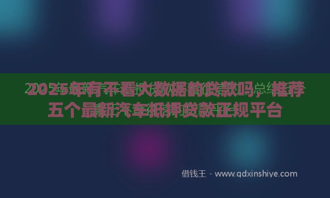 2025年有不看大数据的贷款吗，推荐五个最新汽车抵押贷款正规平台